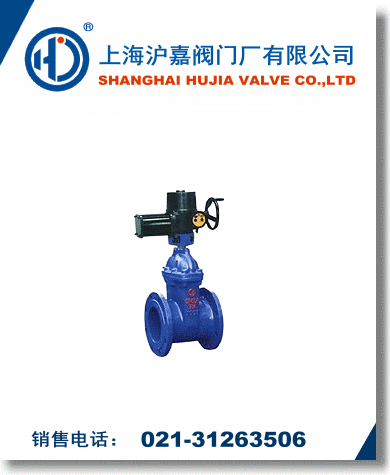電動(dòng)彈性座封閘閥